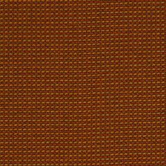 Robert Allen Contract Meadow Garden Cayenne Indoor Upholstery Fabric
