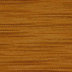 Robert Allen Contract Weave Road Hay Indoor Upholstery Fabric