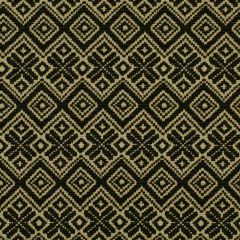 Robert Allen Diamond Way Black Essentials Collection Indoor Upholstery Fabric