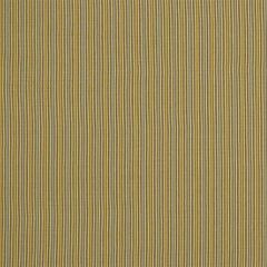 Robert Allen Passing Lane Teak Essentials Collection Indoor Upholstery Fabric