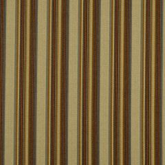 Robert Allen Camp Evergreen Earth Essentials Collection Indoor Upholstery Fabric