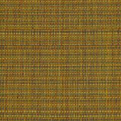 Robert Allen Chippanock Confetti 194547 Indoor Upholstery Fabric