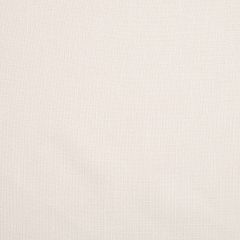 Robert Allen Enchantment Alabaster Essentials Multi Purpose Collection Indoor Upholstery Fabric