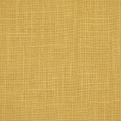 Robert Allen Country Plains Golden 194737 Drapery Fabric