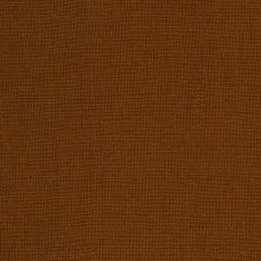 Robert Allen Kilrush Paprika Essentials Multi Purpose Collection Indoor Upholstery Fabric