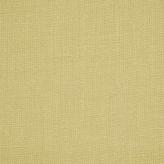 Robert Allen Valemont Leek Essentials Multi Purpose Collection Indoor Upholstery Fabric