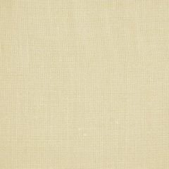Robert Allen Valemont Platinum 194803 Multipurpose Fabric