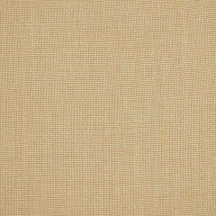 Robert Allen Valemont Flax Essentials Multi Purpose Collection Indoor Upholstery Fabric