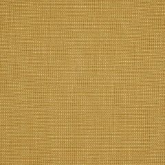 Robert Allen Valemont Harvest Essentials Multi Purpose Collection Indoor Upholstery Fabric