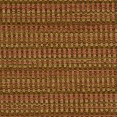 Robert Allen Spunky Weave Mango 194841 Drapery Fabric