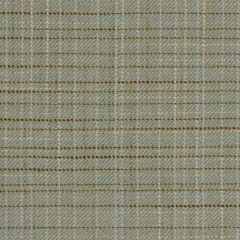 Robert Allen Multi Stitch Bermuda 194854 Multipurpose Fabric