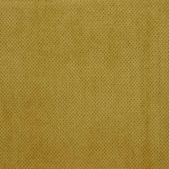 Robert Allen Plush Softy Tarragon Essentials Collection Indoor Upholstery Fabric