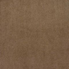 Robert Allen Plush Softy Powder Essentials Collection Indoor Upholstery Fabric