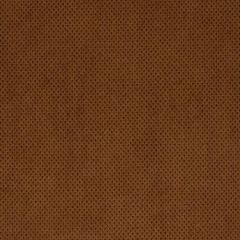Robert Allen Plush Softy Cashew 195144 Indoor Upholstery Fabric