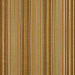 Robert Allen Kentucky Field Desert Essentials Multi Purpose Collection Indoor Upholstery Fabric