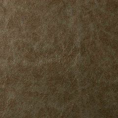 Robert Allen Soft And Shiny Silver Sage Essentials Collection Indoor Upholstery Fabric