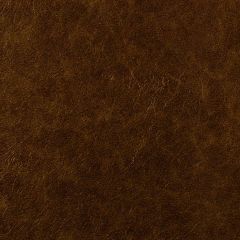 Robert Allen Soft And Shiny Sienna Essentials Collection Indoor Upholstery Fabric