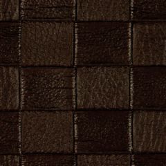 Robert Allen Checkered Tile Mahogany Essentials Collection Indoor Upholstery Fabric