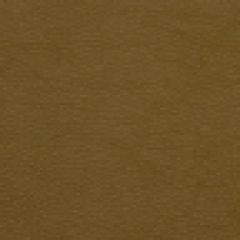 Robert Allen Granular Clove 195407 Indoor Upholstery Fabric