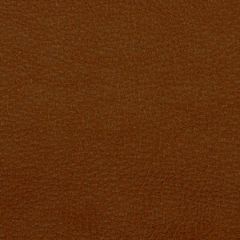 Robert Allen Granular Terracotta Essentials Collection Indoor Upholstery Fabric