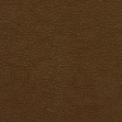 Robert Allen Granular Chestnut 195415 Indoor Upholstery Fabric