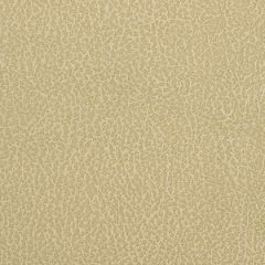 Robert Allen Granular Parchment Essentials Collection Indoor Upholstery Fabric