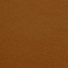 Robert Allen Granular Saddle Essentials Collection Indoor Upholstery Fabric