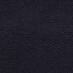 Robert Allen Loggins Marine 195449 Indoor Upholstery Fabric