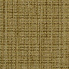 Robert Allen Fuzzy Feeling Twine 195753 Indoor Upholstery Fabric