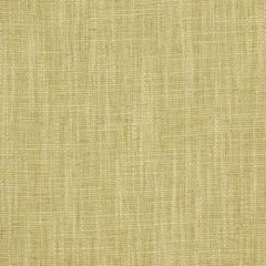Robert Allen Kenya Twine 195757 Indoor Upholstery Fabric