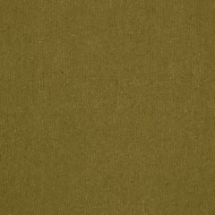 Robert Allen Shiny Weave Tarragon 195778 Indoor Upholstery Fabric