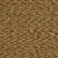 Robert Allen Devalley Rain Essentials Collection Indoor Upholstery Fabric