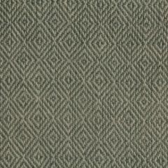 Robert Allen Frederickson Terrain 195939 Indoor Upholstery Fabric