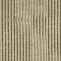 Robert Allen Leighton Earth 196173 Multipurpose Fabric