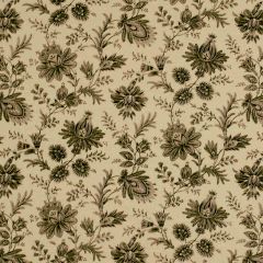 Robert Allen Tsangs Garden Jet Essentials Multi Purpose Collection Indoor Upholstery Fabric