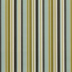 Robert Allen Retro Stripe Kiwi Essentials Multi Purpose Collection Indoor Upholstery Fabric