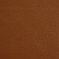 Robert Allen Contract Ananzi Ginger 196350 Indoor Upholstery Fabric