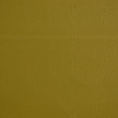 Robert Allen Contract Ananzi Leaf Indoor Upholstery Fabric