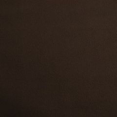 Robert Allen Contract Ananzi Java 196377 Indoor Upholstery Fabric