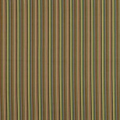 Robert Allen Rainbow Bright Indigo 196463 Multipurpose Fabric