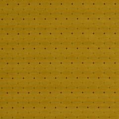 Robert Allen Blocks N Dots Squash Essentials Window Collection Indoor Upholstery Fabric
