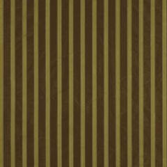 Robert Allen Double Stripe Bark 196690 Multipurpose Fabric