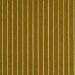 Robert Allen Double Stripe Citrus 196700 Multipurpose Fabric