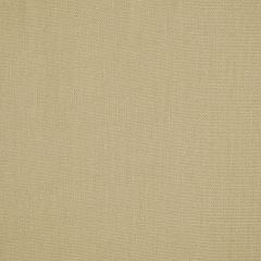 Robert Allen Palmer Plain Fog Essentials Collection Indoor Upholstery Fabric