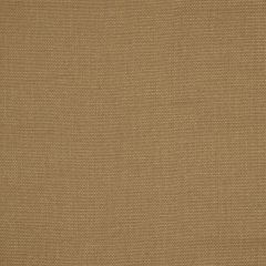 Robert Allen Palmer Plain Flint Essentials Collection Indoor Upholstery Fabric