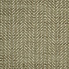 Robert Allen Parsburg Twine 197073 Indoor Upholstery Fabric