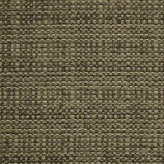 Robert Allen Osgood Manor Twine Color Library Collection Indoor Upholstery Fabric