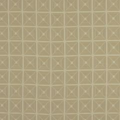 Robert Allen Pyramid Birch 197400 By Dwellstudio Multipurpose Fabric
