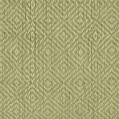 Robert Allen Bennet Citrus Essentials Multi Purpose Collection Indoor Upholstery Fabric