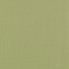 Duralee Moss 36262-257 Decor Fabric